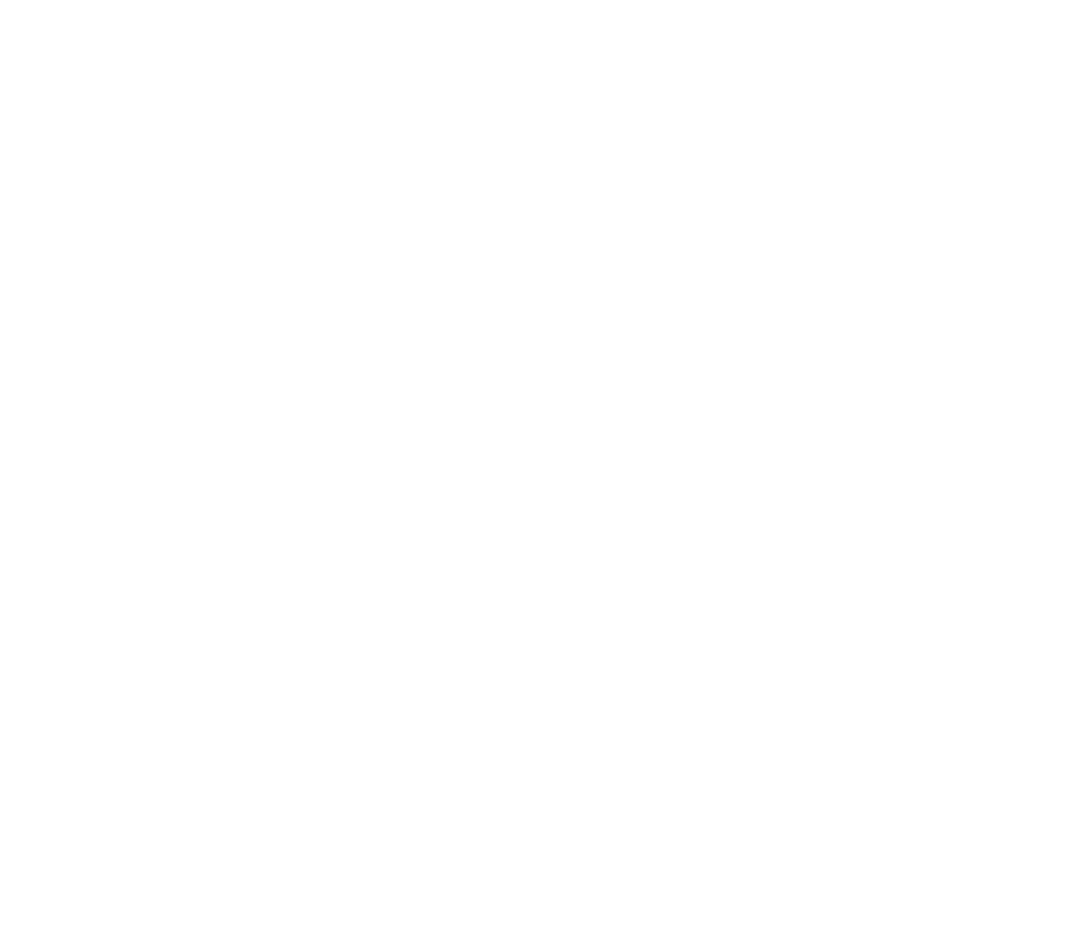 RegimA Logo